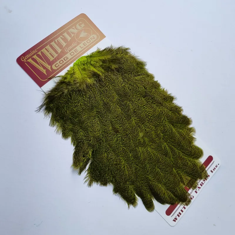 Whiting Coq de Leon Hen Saddle in Speckled Fl.Green Chartreuse